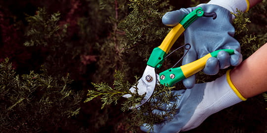 edelvert-accueil-expertise-2-entretien-des-espaces-verts