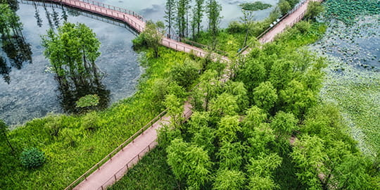 edelvert-accueil-expertise-3-genie-ecologique-et-renaturation