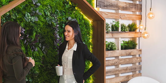 edelvert-accueil-expertise-4-vegetalisation-d-interieur