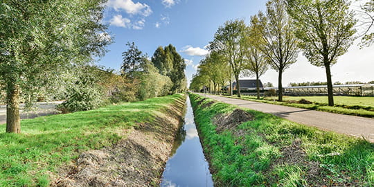 edelvert-nos-expertises-3-genie-ecologique-et-renaturation-prestations-1-restauration-de-milieux-naturels