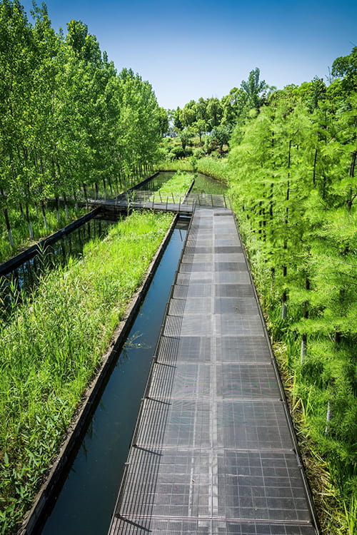 edelvert-nos-expertises-3-genie-ecologique-et-renaturation-problematiques-clients