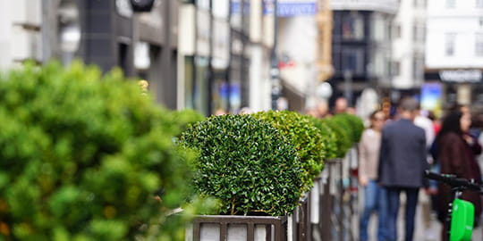 edelvert-pour-qui-1-collectivites-et-amenageurs-publics-problematiques-frequentes-3