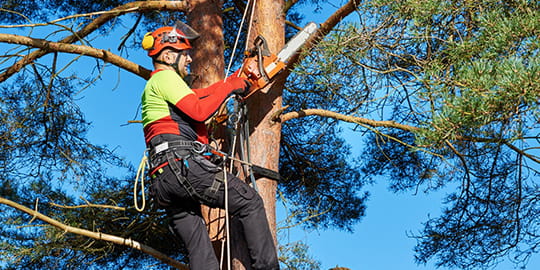 edelvert-pour-qui-3-coproprietes-et-residences-problematiques-frequentes-3